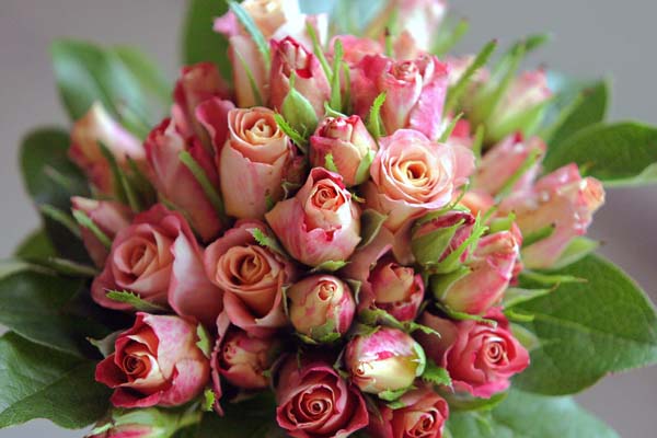 サプライズプレゼントに☆感激する7つの花の贈り方