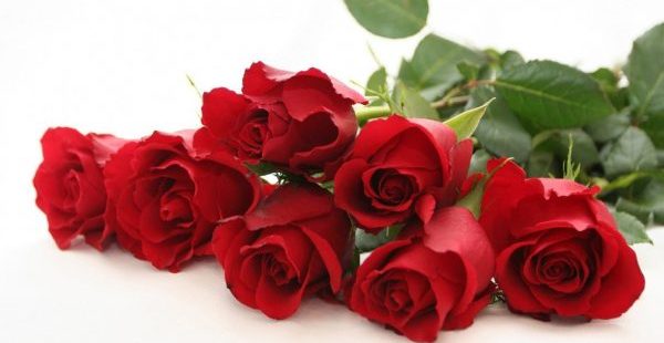 赤いバラの花言葉を使って大好きな人に告白する５つのコツ