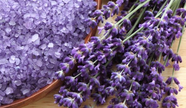 紫の花の名前と花言葉 厳選５種 花咲マニアとアロマさん