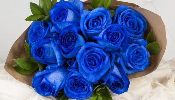青いバラができるまで 美しい青色の作り方 ５つの手順 花咲マニアとアロマさん